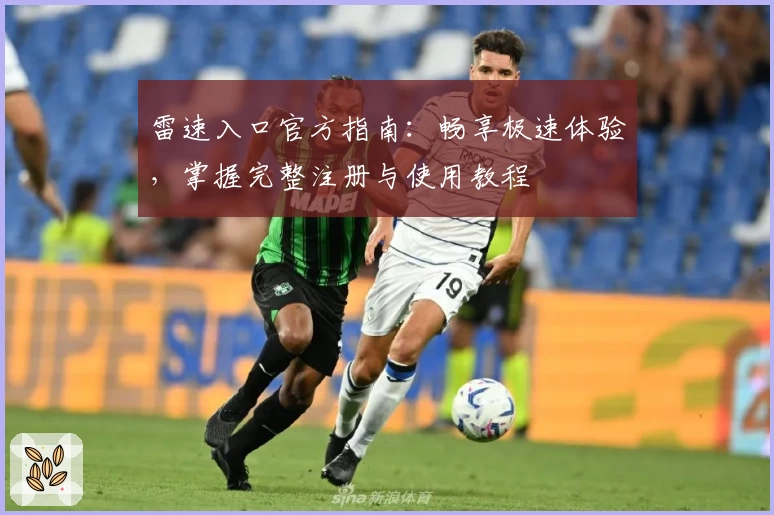 雷速入口官方指南:畅享极速体验,掌握完整注册与使用教程